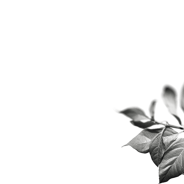 Medewerker bediening<br>m/v