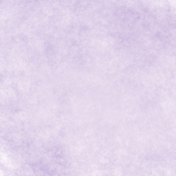 De evenementenlocatie